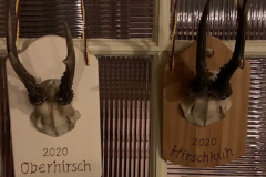 Hirsch